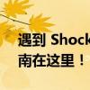 遇到 Shockwave Flash 崩溃问题？解决指南在这里！