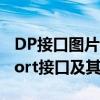 DP接口图片详解：认识不同类型的DisplayPort接口及其应用