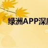 绿洲APP深度解析：社交新领域的探索者