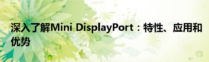 mini displayport input（minidisplayport是1.2还是1.4）