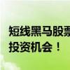 短线黑马股票群：揭秘股市潜力股，助您把握投资机会！