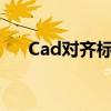 Cad对齐标注的快捷键详解与操作指南