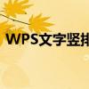 WPS文字竖排：轻松实现文本竖排排版技巧