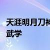 天涯明月刀神威心法揭秘：武侠江湖中的绝世武学