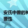 安氏中兽的神秘面纱：揭示其特征、历史与重要性