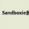 Sandboxie多开指南：轻松实现多实例运行