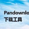 Pandownload使用指南：详解如何操作这款下载工具