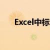 Excel中标准偏差计算公式的应用指南