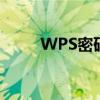 WPS密码忘记，轻松解除保密锁！