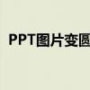 PPT图片变圆形教程：轻松实现图片圆形化