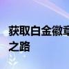 获取白金徽章攻略指南：解锁你的荣誉与荣耀之路