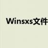 Winsxs文件夹：解析其重要性和常见用途