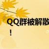 QQ群被解散？如何恢复群组，操作指南在此！