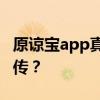 原谅宝app真相揭秘：是真实存在还是虚假宣传？