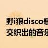 野i狼disco歌词解析：狼的野性与生活的热情交织出的音乐韵律