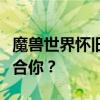 魔兽世界怀旧服职业选择指南：哪个职业最适合你？