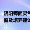 阴阳师面灵气培养指南：深度解析面灵气的价值及培养建议