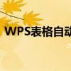 WPS表格自动计算功能详解：从入门到精通