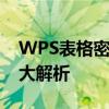 WPS表格密码遗忘如何轻松打开？解密方法大解析