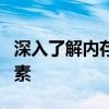 深入了解内存条频率：影响电脑性能的重要因素