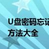 U盘密码忘记了怎么办？解锁密码忘记的U盘方法大全