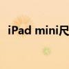 iPad mini尺寸详解：小巧便携的平板电脑