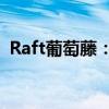 Raft葡萄藤：探索葡萄藤的奥秘与实际应用