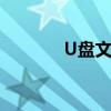 U盘文件不显示解决方法大全