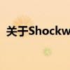 关于Shockwave Flash Object的深入解析