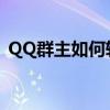 QQ群主如何转让？操作指南帮你轻松搞定！