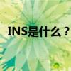 INS是什么？全面解析社交应用Instagram