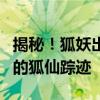 揭秘！狐妖出没的隐秘地点，探寻神秘世界中的狐仙踪迹