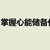 掌握心能储备任务执行策略：步骤与实践指南