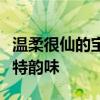 温柔很仙的宝藏句子：诗意般的情感表达与独特韵味