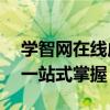 学智网在线成绩查询服务——您的学习进度一站式掌握