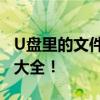 U盘里的文件不见了，该如何恢复？解决方法大全！