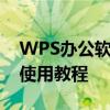 WPS办公软件下载指南：快速获取、安装与使用教程