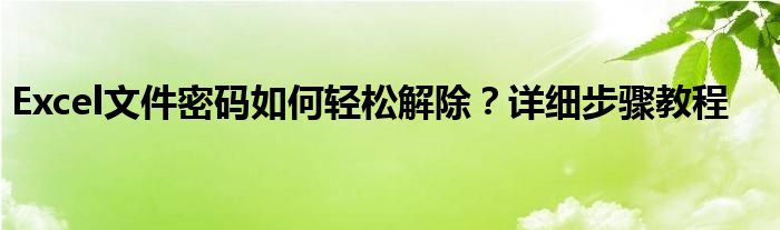 excel文件密码如何轻松解除?详细步骤教程视频（怎么给excel文件解除密码）