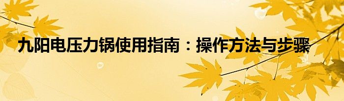 九阳电压力锅怎么预约时间（九阳电压力锅怎么使用步骤视频）