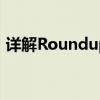 详解Roundup函数：意义、作用与实际应用