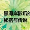 黑海岸影爪的神秘传奇：揭示隐藏在波涛中的秘密与传说