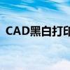 CAD黑白打印指南：轻松实现图纸清晰输出