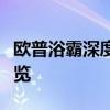 欧普浴霸深度解析：性能、质量与用户评价一览