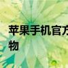 苹果手机官方旗舰店 - 全方位体验与一站式购物