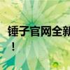 锤子官网全新上线，一站式解决您的所有需求！