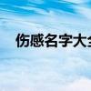 伤感名字大全：探寻内心深处的情感伤痛