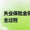 失业保险金领取程序详解：申请、审核与发放全过程