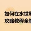 如何在水世界游戏中输入美丽水世界作弊码？攻略教程全解析