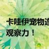 卡哇伊宠物连连看：萌宠连连对决，挑战你的观察力！