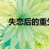 失恋后的重生：面对失去，找寻新的自我